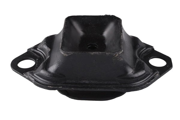 SUPORT MOTOR TEDGUM TED55030 - Compatibil cu DACIA, RENAULT
