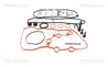 Set distributie curea Triscan 8647 10099