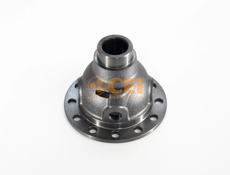 Carcasa, diferential CEI 175.093