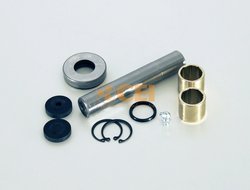SET REPARATIE PIVOT CEI 230.084 - Compatibil cu RENAULT TRUCKS