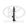 Radiator racire motor KOYORAD PL463549