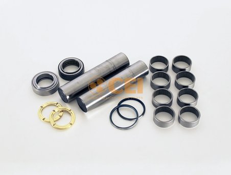 Set reparatie pivot CEI 230.069