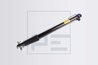 Cilindru basculare cabina sofer PE Automotive 013.744-00A