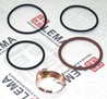 SET GARNITURI ETANSARE, INJECTOARE LEMA 28070.45 - Piesa auto compatibila cu mai multe marci