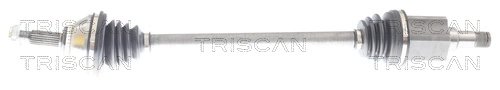 PLANETARA TRISCAN 8540 297026 - Compatibil cu SEAT, SKODA, VW