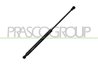 Amortizor capota Prasco BM0249005