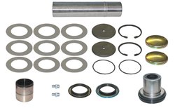 Set reparatie pivot LEMA 306