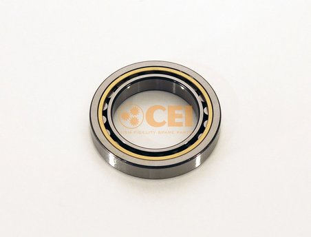 Rulment, diferentia CEI 130.991
