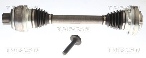 PLANETARA TRISCAN 8540 297025 - Compatibil cu SEAT, SKODA, VW