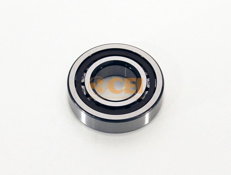 Rulment, diferentia CEI 130.989