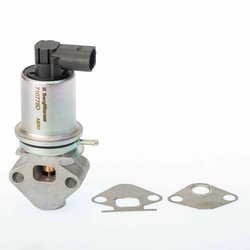Supapa EGR BorgWarner 710778D