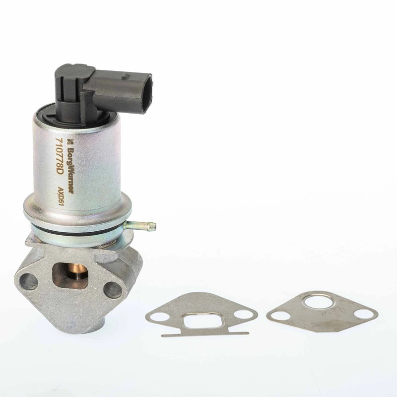 SUPAPA EGR BORGWARNER 710778D - Compatibil cu AUDI, SEAT, SKODA, VW