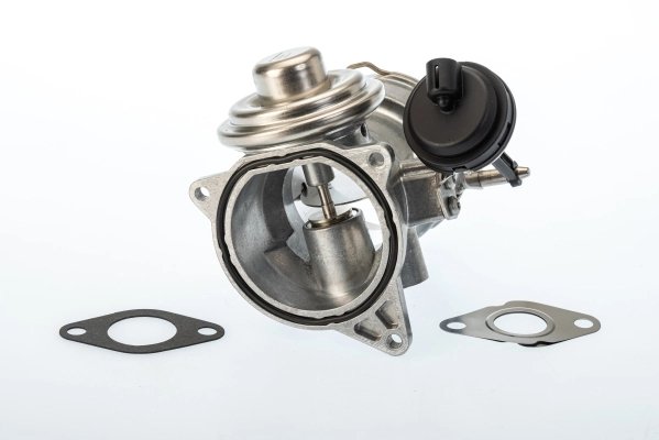 SUPAPA EGR BORGWARNER 7650D - Compatibil cu VW