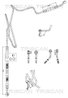 Furtun hidraulic sistem directie Triscan 8516 29008