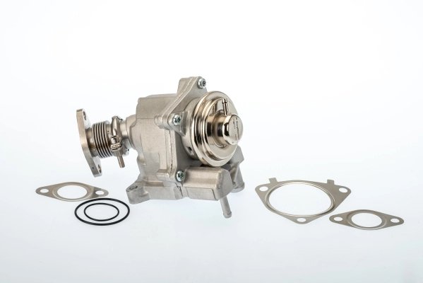 Supapa EGR BorgWarner 7631D