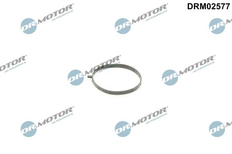 Etansare, carcasa clapeta Dr.Motor Automotive DRM02577