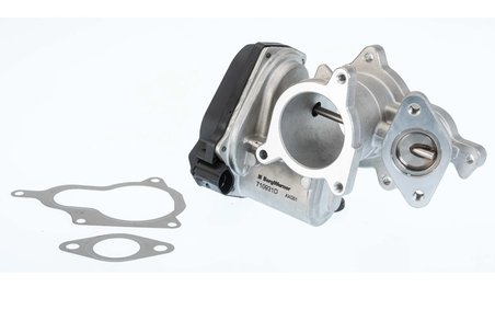 Supapa EGR BorgWarner 710931D