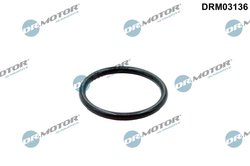 garnitura,conducta lichid de racire Dr.Motor Automotive DRM0