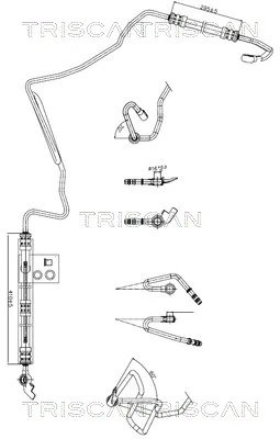 Furtun hidraulic sistem directie Triscan 8516 29009