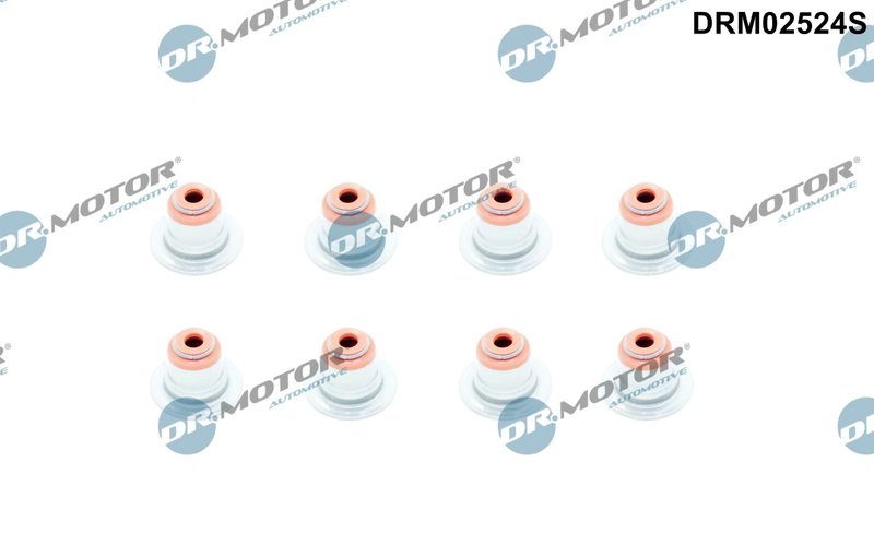 SET GARNITURI AX SUPAPE DR.MOTOR AUTOMOTIVE DRM02524S - Compatibil cu ALPINA, BMW, ROLLS-ROYCE