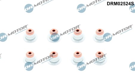 SET GARNITURI AX SUPAPE DR.MOTOR AUTOMOTIVE DRM02524S - Compatibil cu ALPINA, BMW, ROLLS-ROYCE