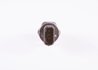 SENZOR PRESIUNE COMBUSTIBIL BOSCH 0 281 006 165 - Compatibil cu HEULIEZ, IRISBUS, IVECO, NEW HOLLAND