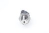 SENZOR PRESIUNE COMBUSTIBIL BOSCH 0 281 006 244 - Compatibil cu NISSAN
