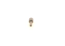Injector BOSCH 0 433 171 986