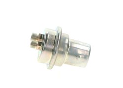 REZERVOR PRESIUNE, ALIMENTARE COMBUSTIBIL BOSCH 0 438 170 001 - Compatibil cu AUDI, BMW, SAAB, VOLVO, VW