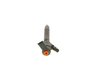Injector BOSCH 0 445 110 251