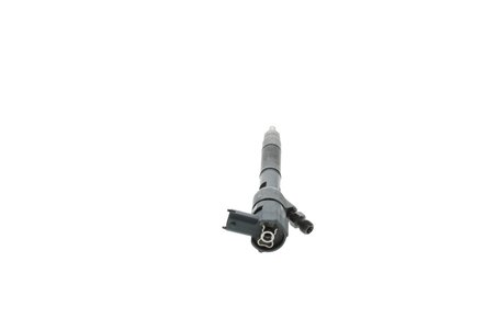 Injector BOSCH 0 445 110 319
