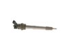 Injector BOSCH 0 445 110 700