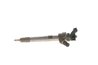 Injector BOSCH 0 445 110 700