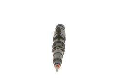 Injector BOSCH 0 445 120 302