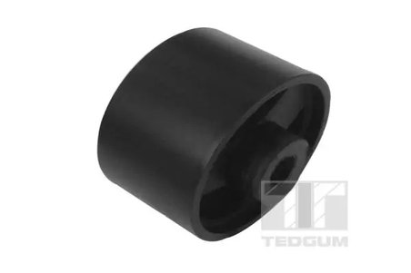 RULMENT DIFERENTIAL TEDGUM 00028545 - Compatibil cu ALFA ROMEO