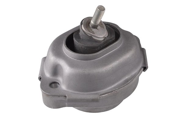Suport motor Tedgum 00088396