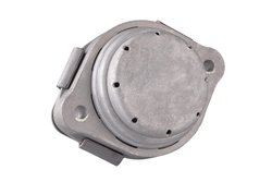 Suport motor Tedgum 00088396