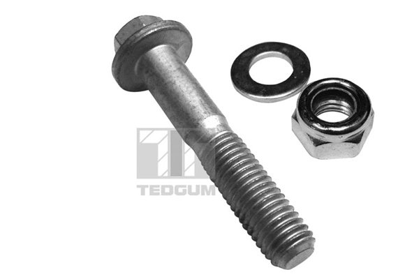 Surub Tedgum 00228297