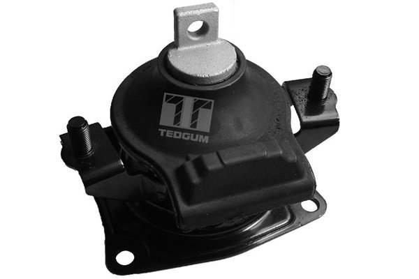 Suport motor Tedgum 00263076