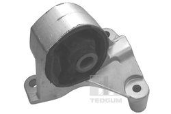 Suport motor Tedgum 00264833