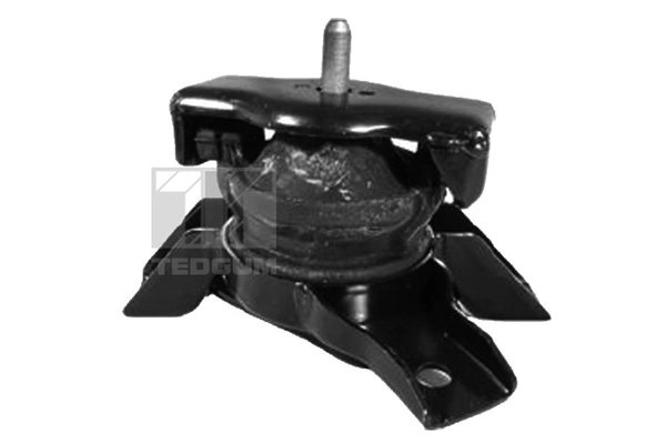 Suport motor Tedgum 00280460