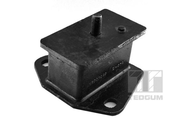 Suport motor Tedgum 00441699