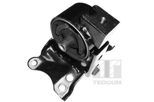 Suport motor Tedgum 00466350