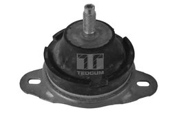 Suport motor Tedgum 00514176