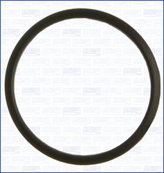 Garnitura termostat Ajusa 00520000