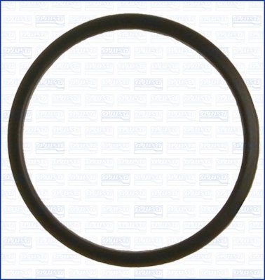 Garnitura termostat Ajusa 00520000