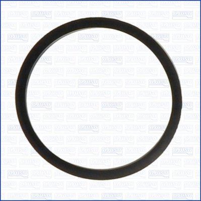 Garnitura termostat Ajusa 00522800