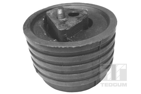 Suport motor Tedgum 00614322