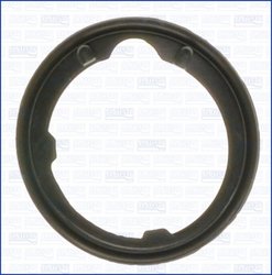 Garnitura termostat Ajusa 00668400