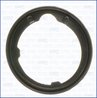 Garnitura termostat Ajusa 00668400